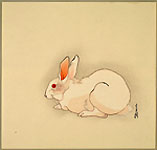 GEKKO, Albino Rabbit, woodcut